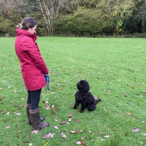 K9 Dog Training, Client training their dog