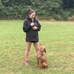 K9 Dog Training, Client, training her puppy