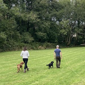 K9 Dog Training Clients, Couple training their two dogs