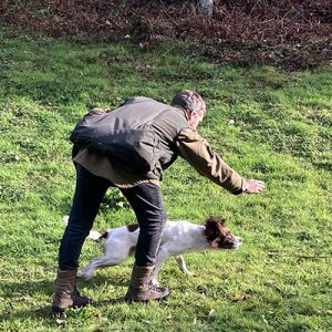 K9 Dog Training, Client doing gun dog training with their spaniel.