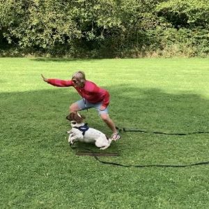 K9 Dog Training, Client doing gun dog training